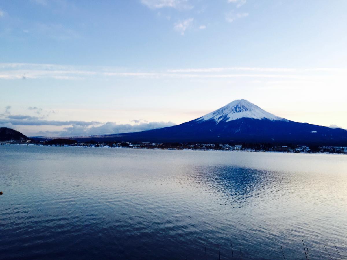 Mt Fuji Cat&Dog&Spa Pension Blue Poppy 富士河口湖 外观 照片