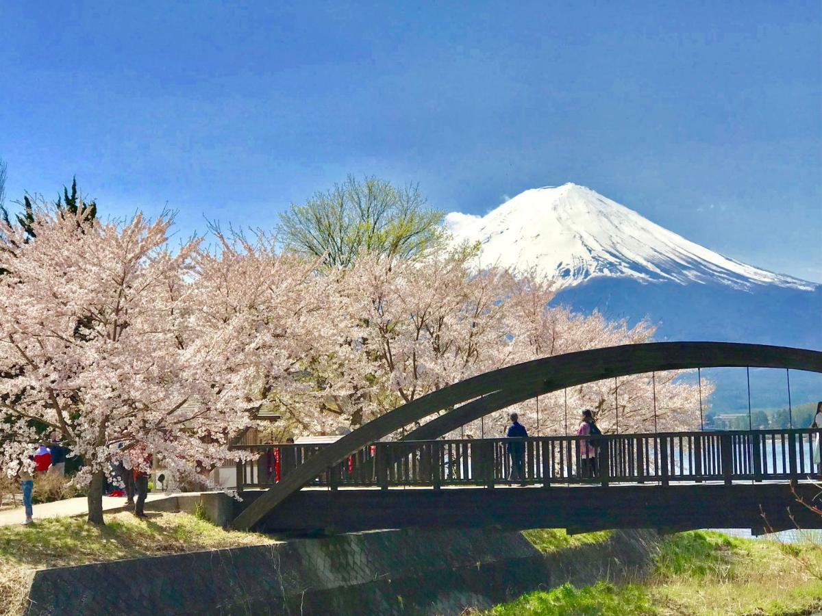 Mt Fuji Cat&Dog&Spa Pension Blue Poppy 富士河口湖 外观 照片