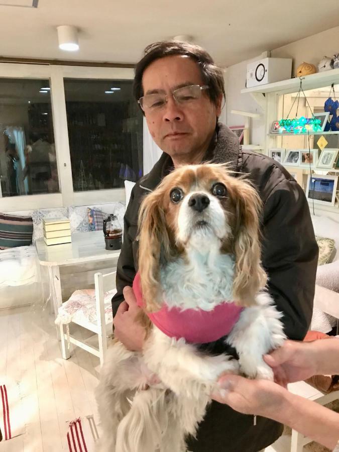 Mt Fuji Cat&Dog&Spa Pension Blue Poppy 富士河口湖 外观 照片