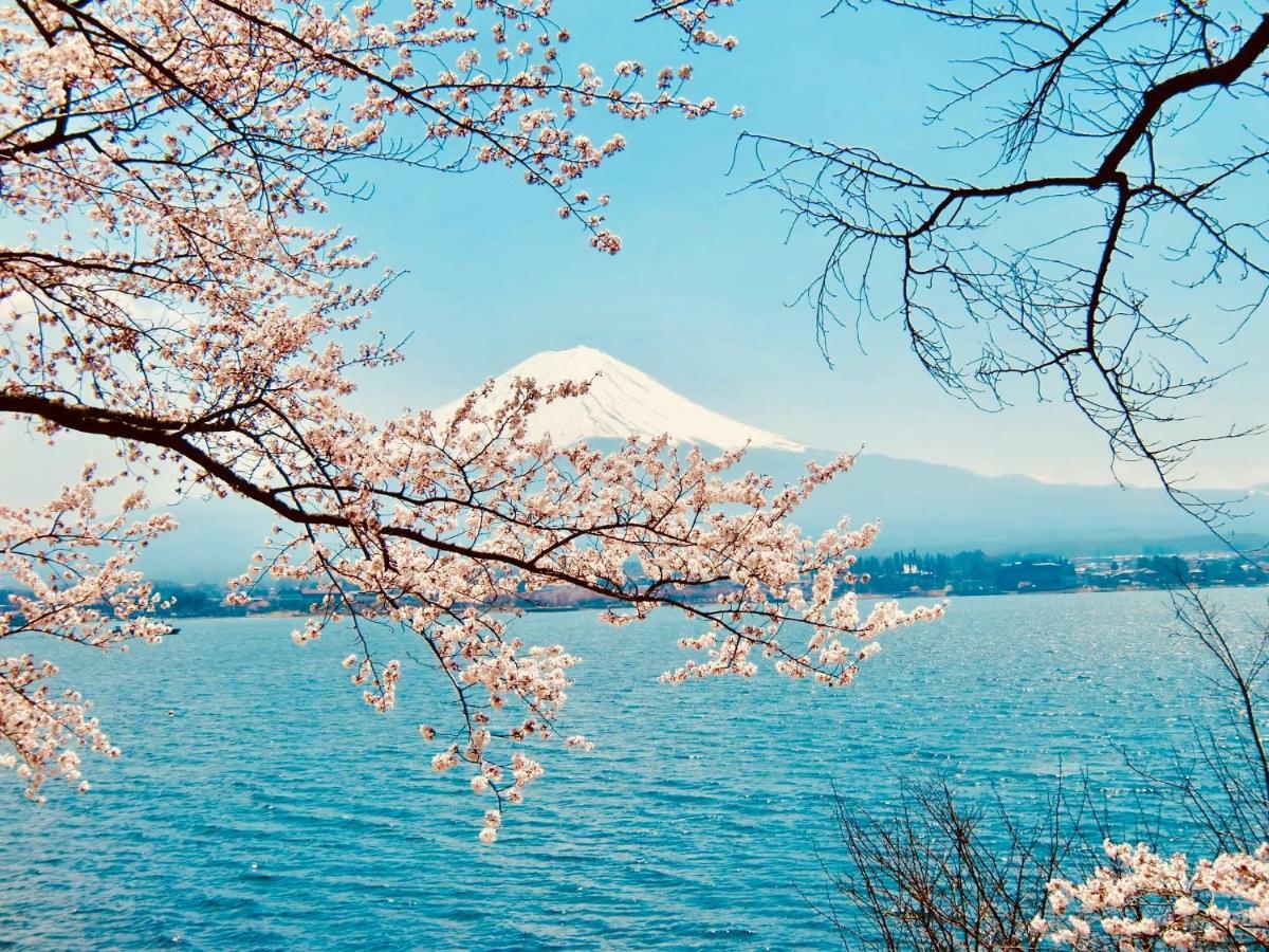 Mt Fuji Cat&Dog&Spa Pension Blue Poppy 富士河口湖 外观 照片