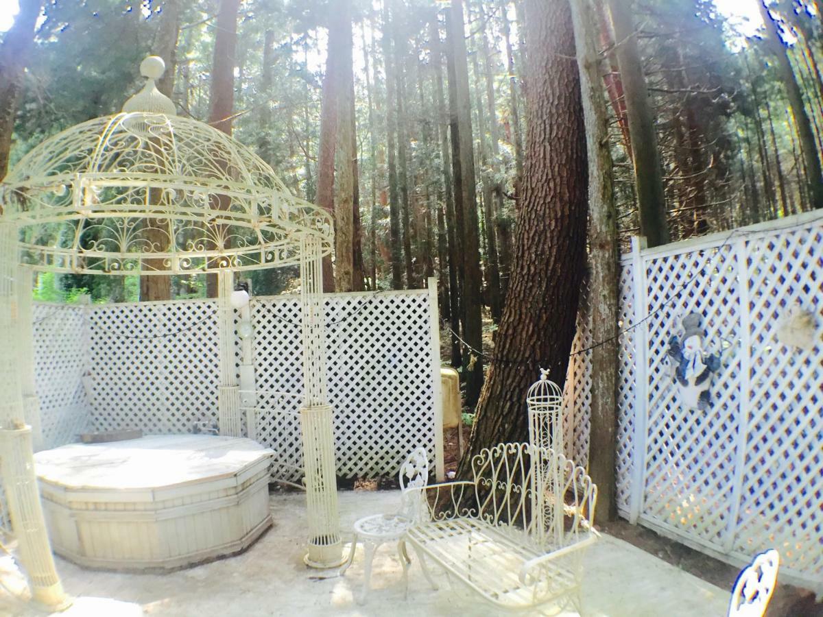 Mt Fuji Cat&Dog&Spa Pension Blue Poppy 富士河口湖 外观 照片