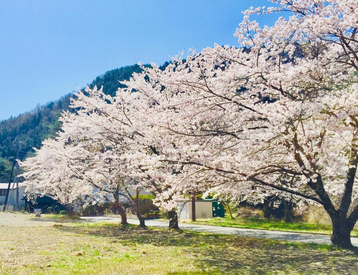 Mt Fuji Cat&Dog&Spa Pension Blue Poppy 富士河口湖 外观 照片